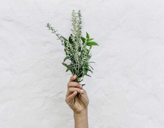 Hand mit Ayurveda Gewürze